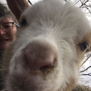 Meet your Posher, Laura